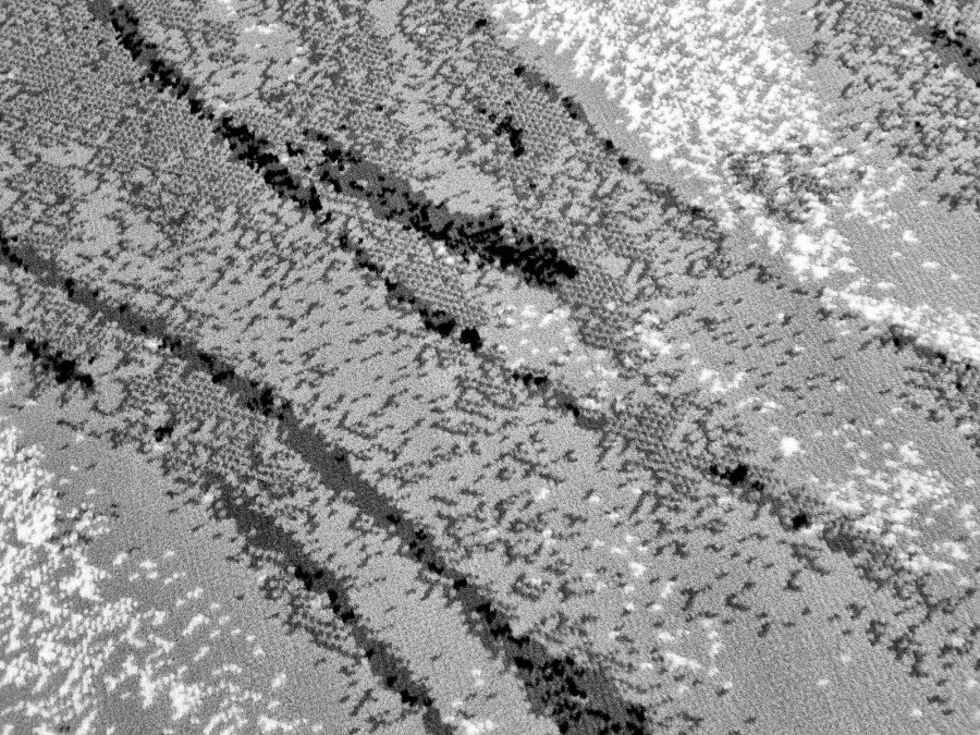 DC Koberec PP 006 sivá Rozmer: 200×300 cm