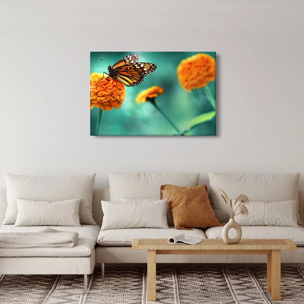 Obraz motýľa (90x60 cm)