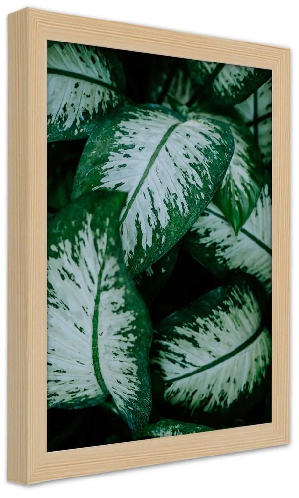 Gario Plagát Zelené tropické rastliny Farba rámu: Bez rámu, Rozmery: 30 x 45 cm