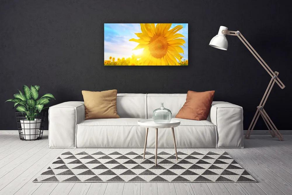 Obraz Canvas Slnečnica kvet slnko 125x50 cm