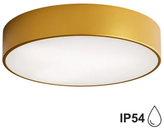 Brilagi - Kúpeľňové stropné svietidlo CLARE 2xE27/24W/230V pr. 40 cm IP54 zlatá