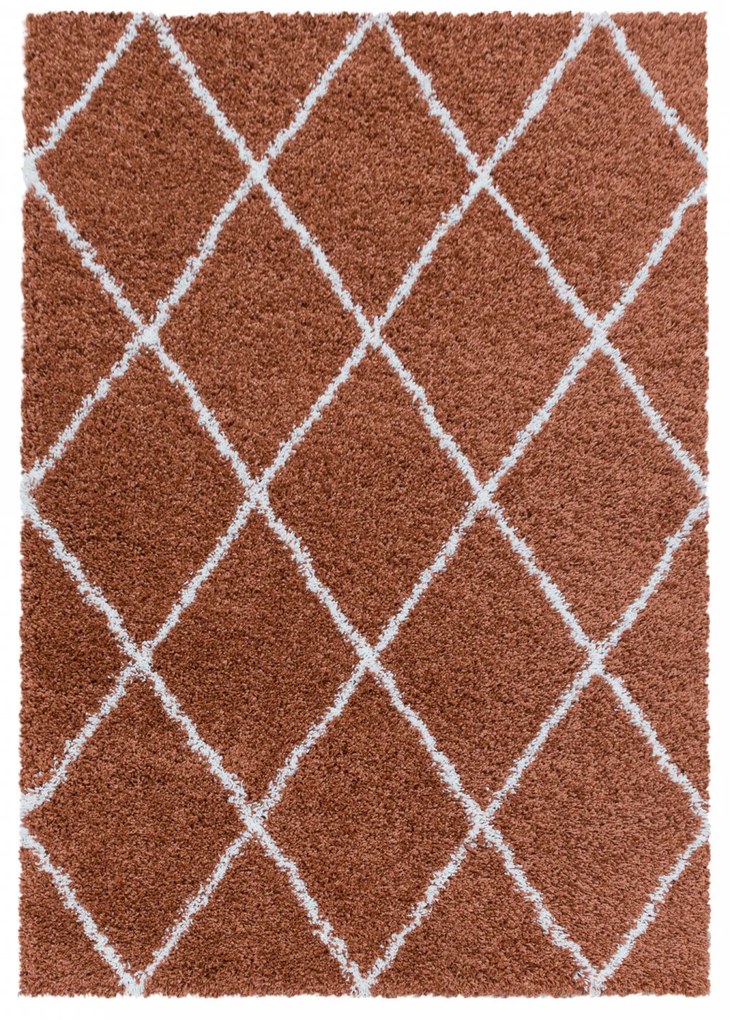 Ayyildiz koberce Kusový koberec Alvor Shaggy 3401 terra - 60x110 cm