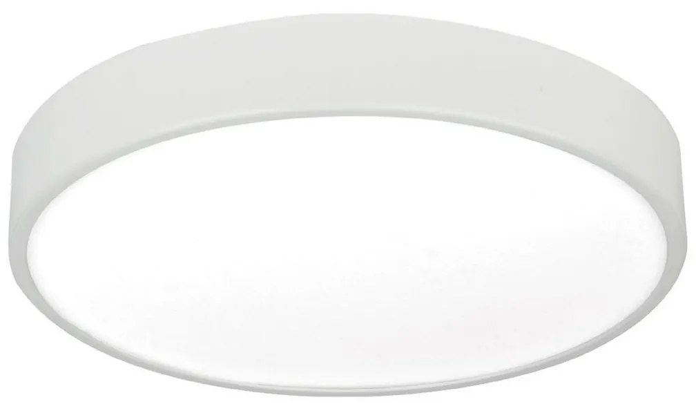 LED Stropné svietidlo LED/12W/230V