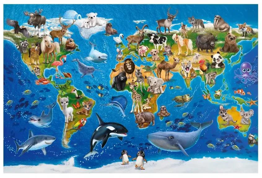 Magnetické obrazy Mapa sveta so zvieratami