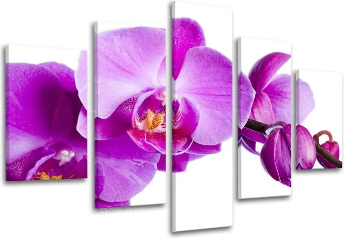 Obraz na stenu 5 dielny KVETY XOBKV135E50 - 150x100 cm