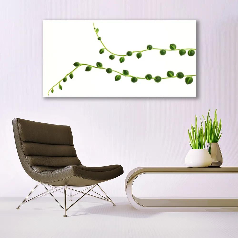 Obraz na akrylátovom skle Dekoratívne rastlina 120x60 cm