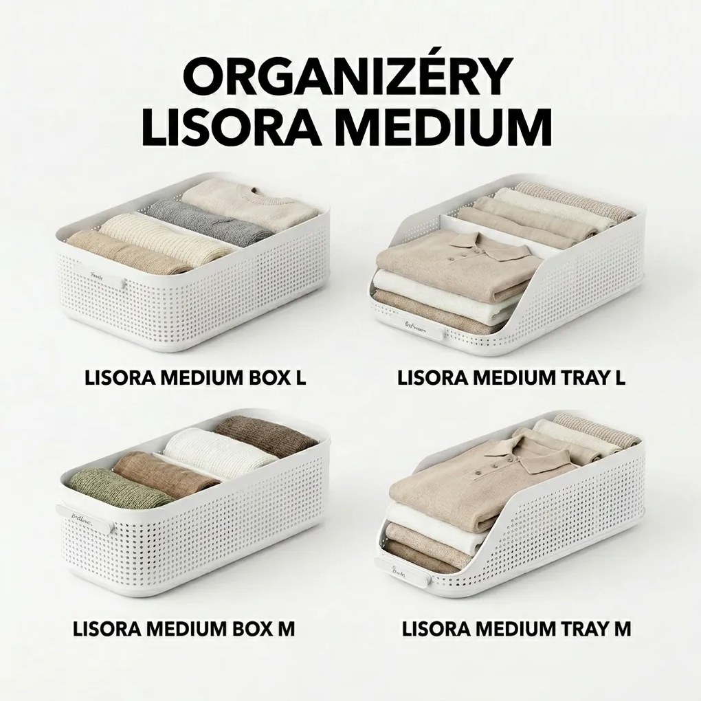 Rotho Úložný box do skrine, šatníkový organizér LISORA - L, 49,4 × 31 × 15 cm