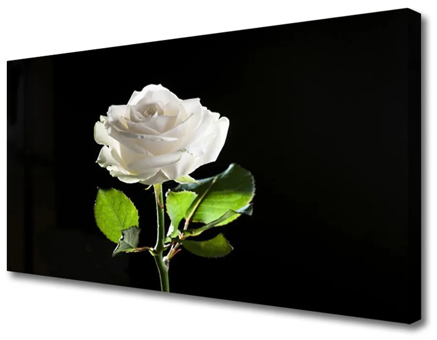 Obraz Canvas Ruže kvet rastlina 140x70cm