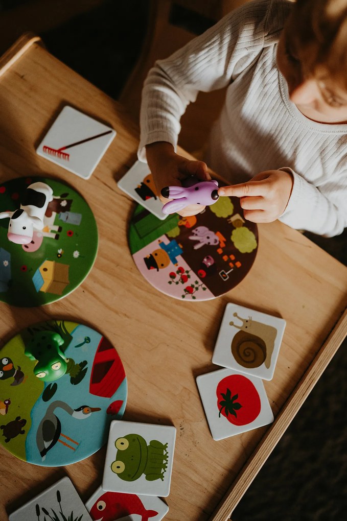 Kde a ako žijú zvieratká?