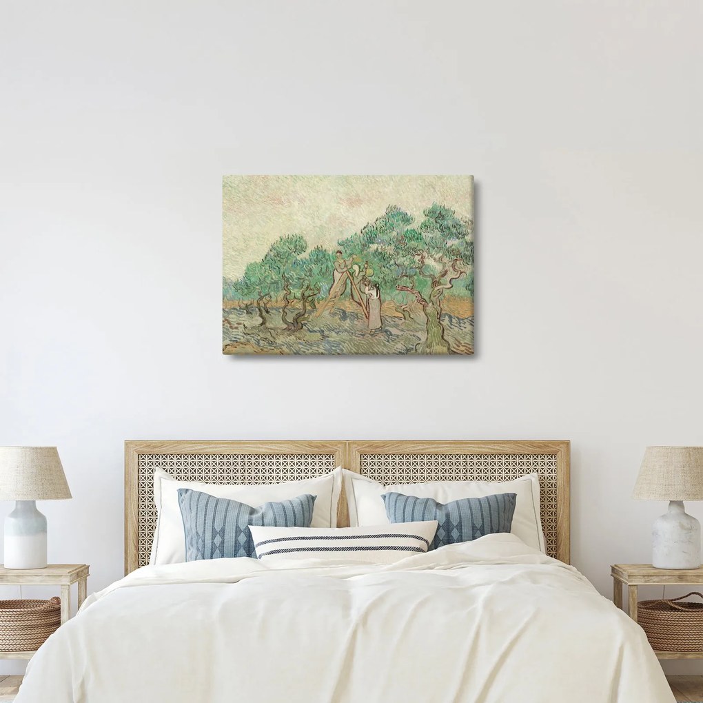 Obraz - Vincent van Gogh, The Olive Orchard, reprodukcia (70x50 cm)