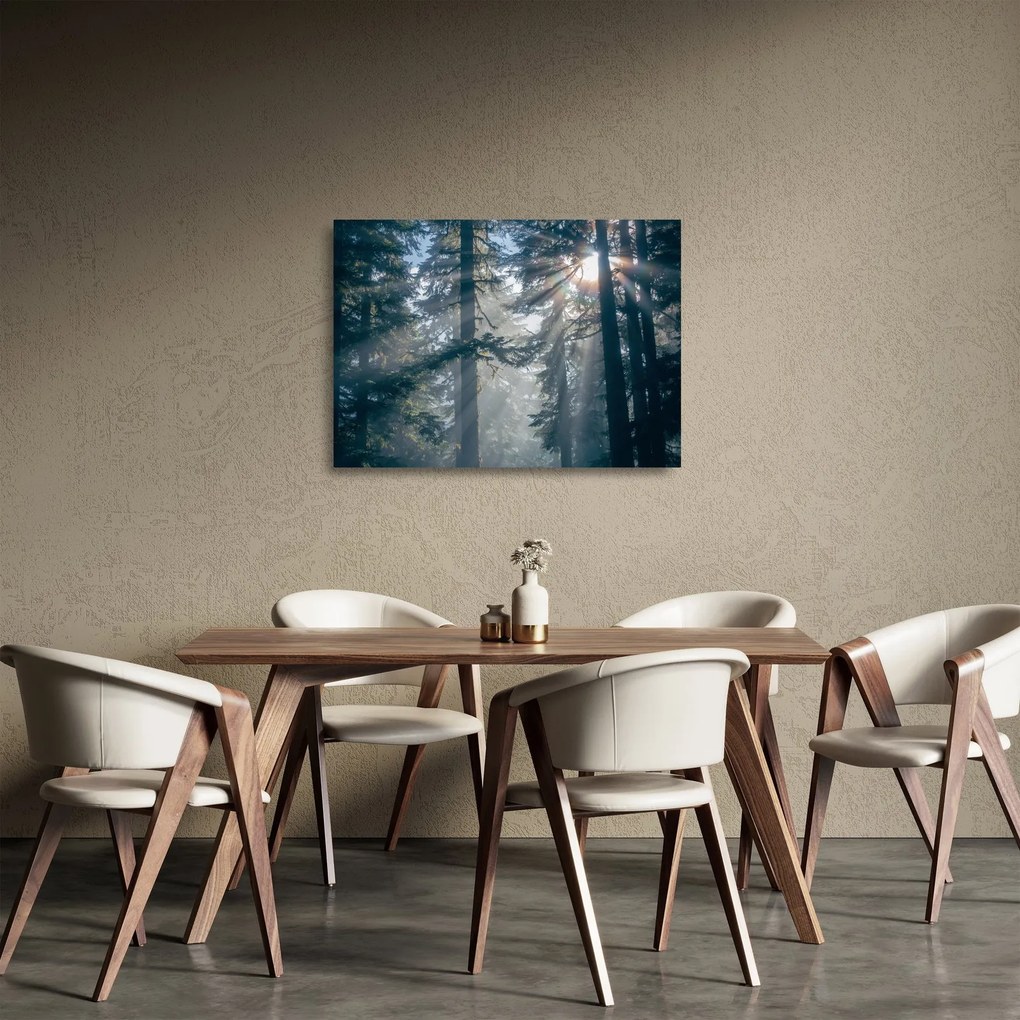 Sklenený obraz stromov s presvitajúcim slnkom (70x50 cm)
