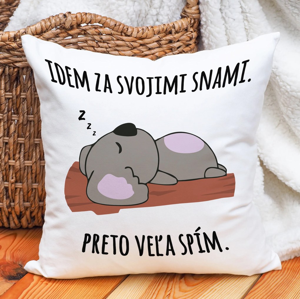 Ahome Vankúš Idem za svojimi snami.