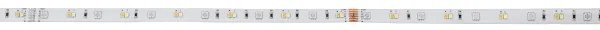 Eglo 99687 - LED RGBW Stmievateľný pásik 8m LED/24W/24/230V 2700-6500K