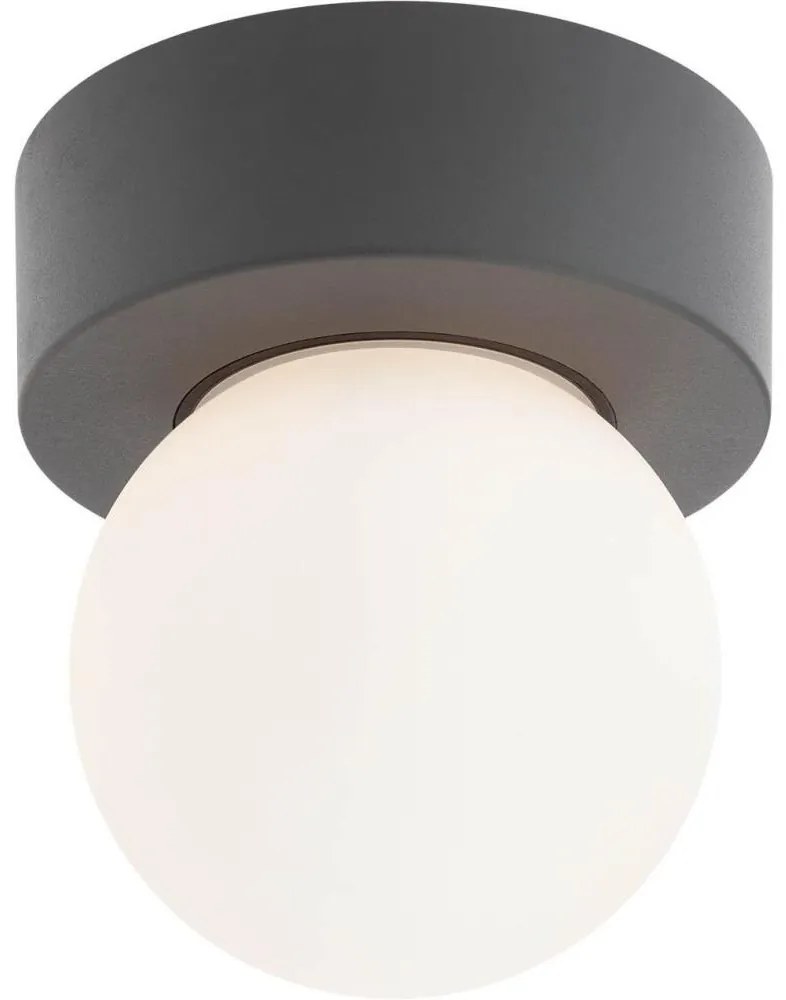 Redo 90641 - Vonkajšie stropné svietidlo BULK 1xE27/28W/230V IP44 antracit