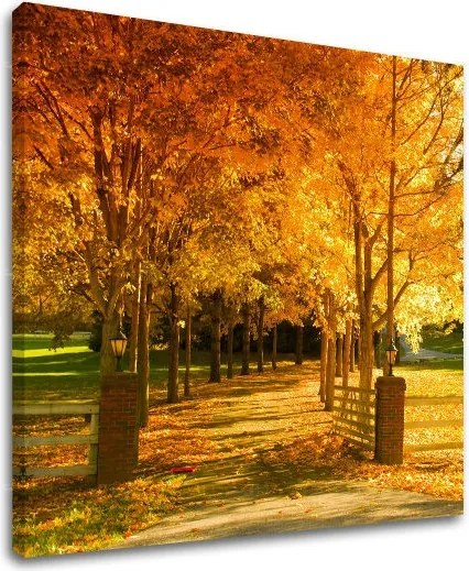 Obraz na stenu STROMY ST020E12