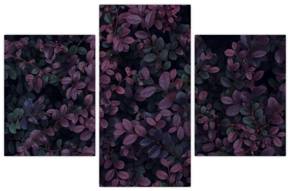 Obraz tmavočervených lístočkov (90x60 cm)