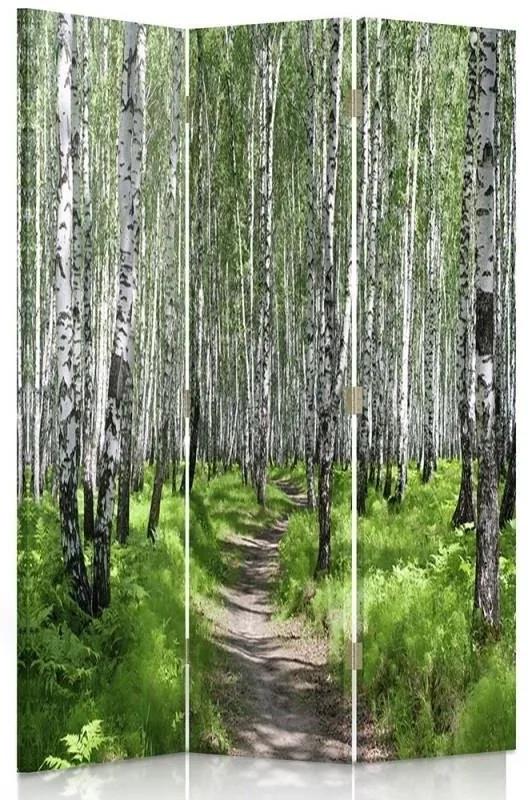 Ozdobný paraván Příroda březového lesa - 110x170 cm, trojdielny, obojstranný paraván 360°