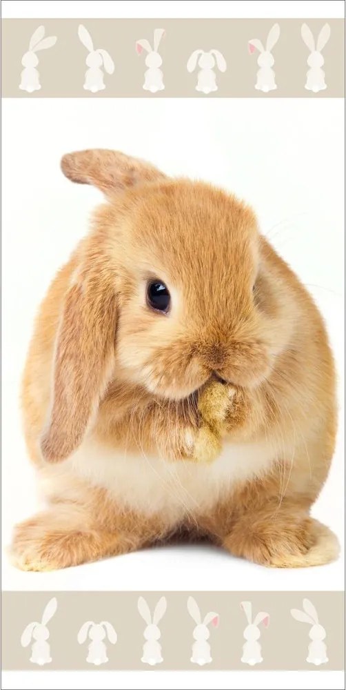 Jerry Fabrics Detská osuška s potlačou - Harry Potter - Hedwig | 70 x 140 cm