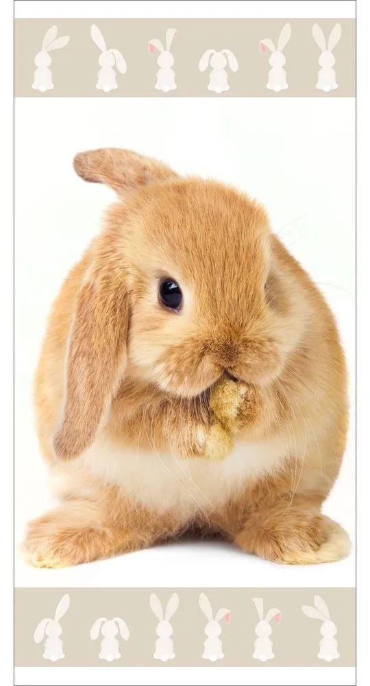 Jerry Fabrics Detská osuška s potlačou - Leví kráľ | 70 x 140 cm