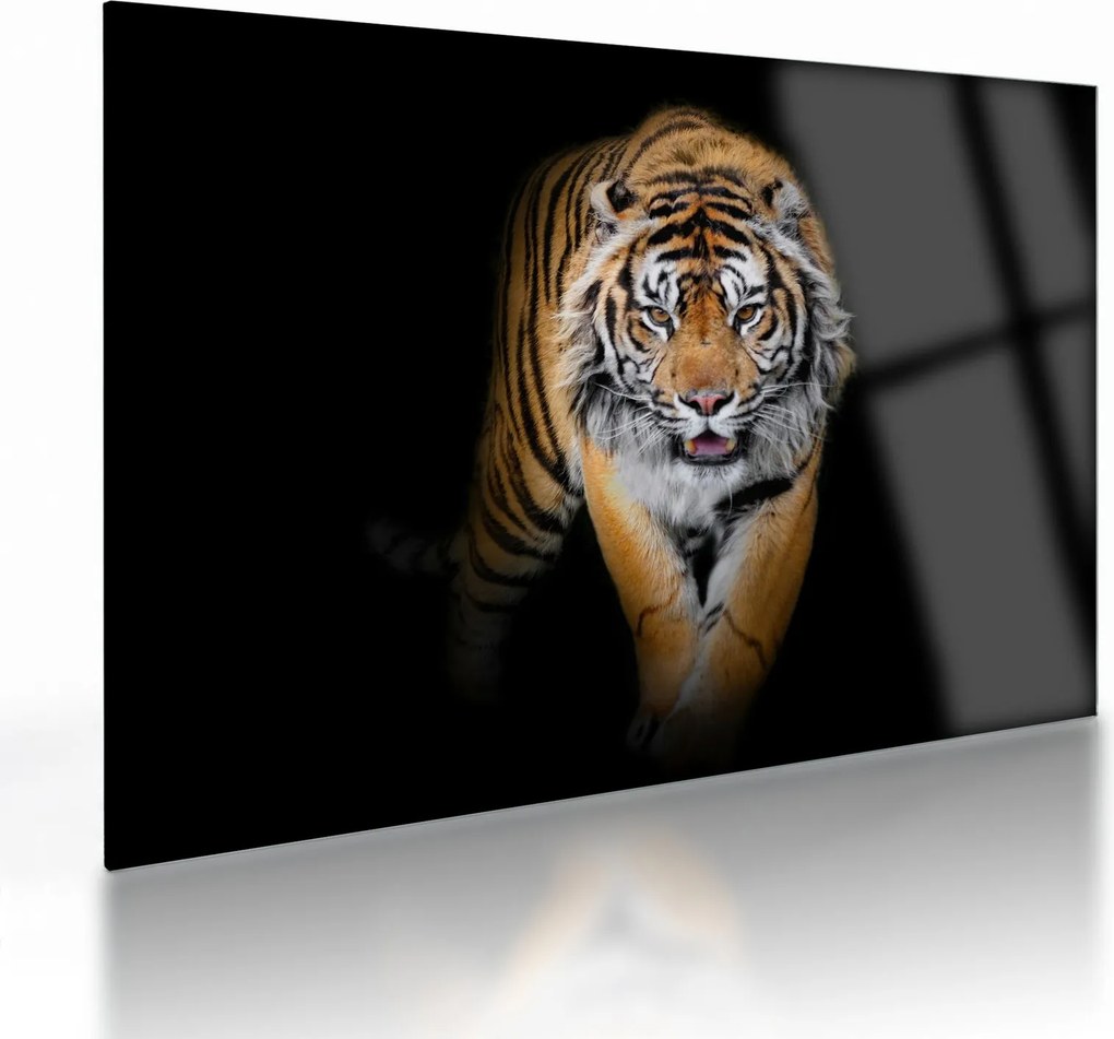 Sklenený obraz - Tiger (70x50 cm)