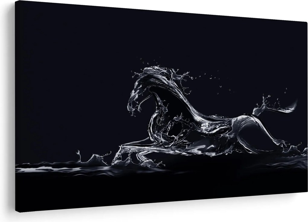 Obraz - Kôň a voda (90x60 cm)