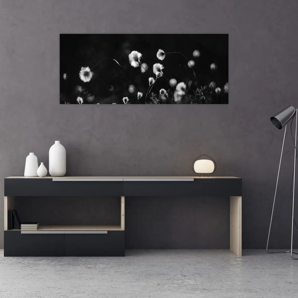 Obraz - Lúka s cottongrass N⁰1 (120x50 cm)