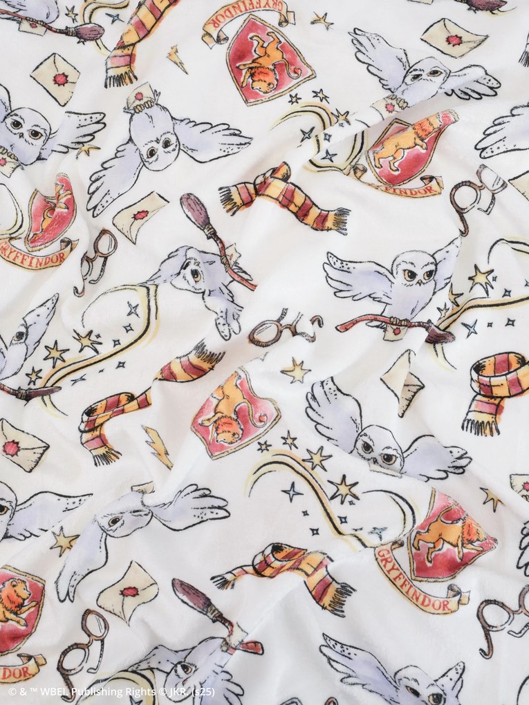 Francúzske obliečky mikroplyš Harry Potter - Chrabromil 2