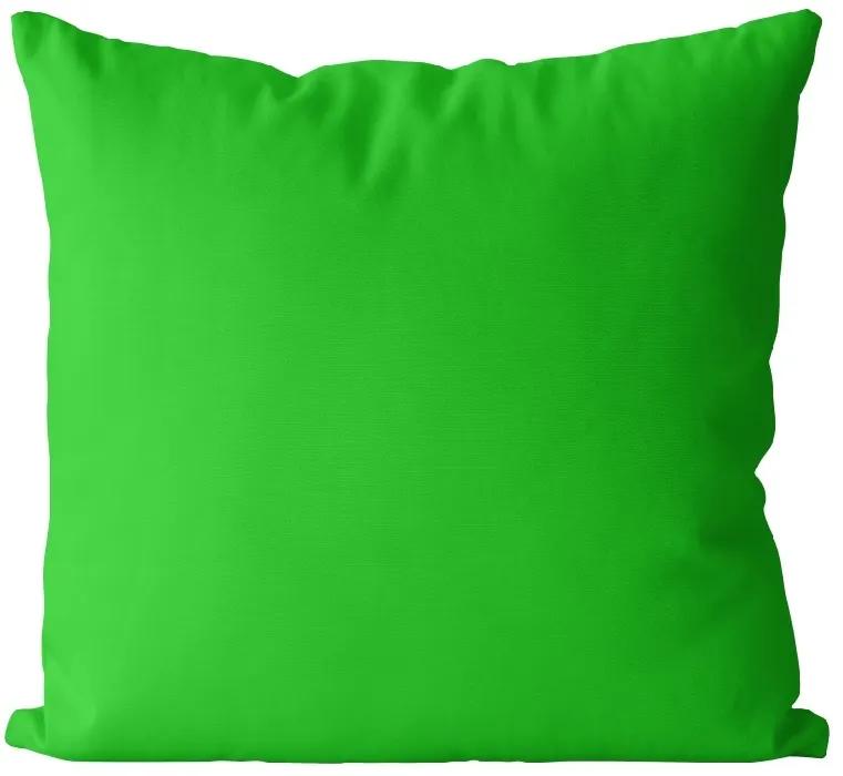 Vankúš Zelený jarný (Veľkosť: 55 x 55 cm)