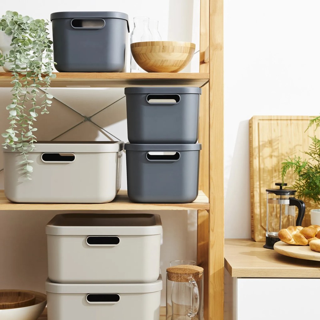 Rotho Úložný box s vekom, 12 l, matná biela ALBU LIGHT, 40 x 24 x 18 cm