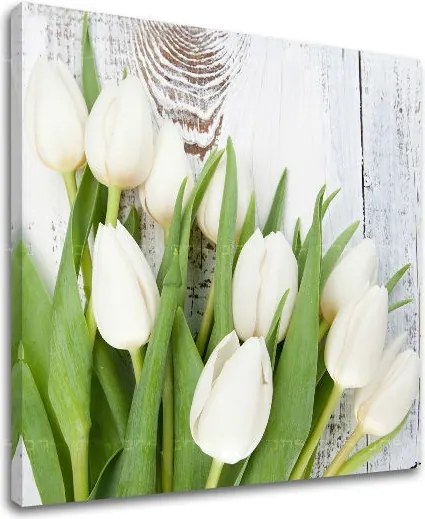 Obraz na stenu KVETY KV036E12 - 40x40 cm