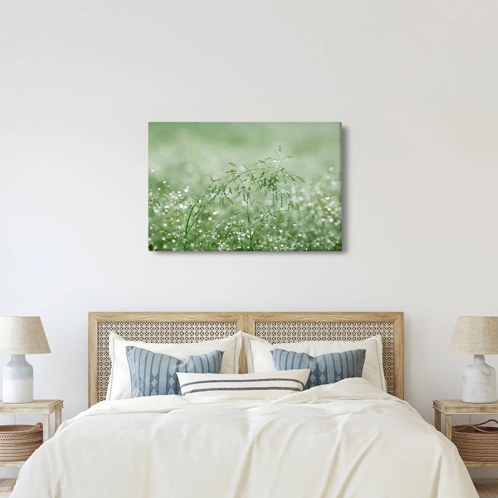 Obraz - Ranná rosa na steblach trávy (90x60 cm)