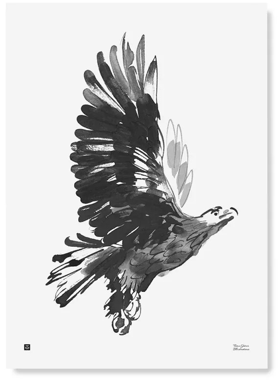 Plagát Eagle 50x70