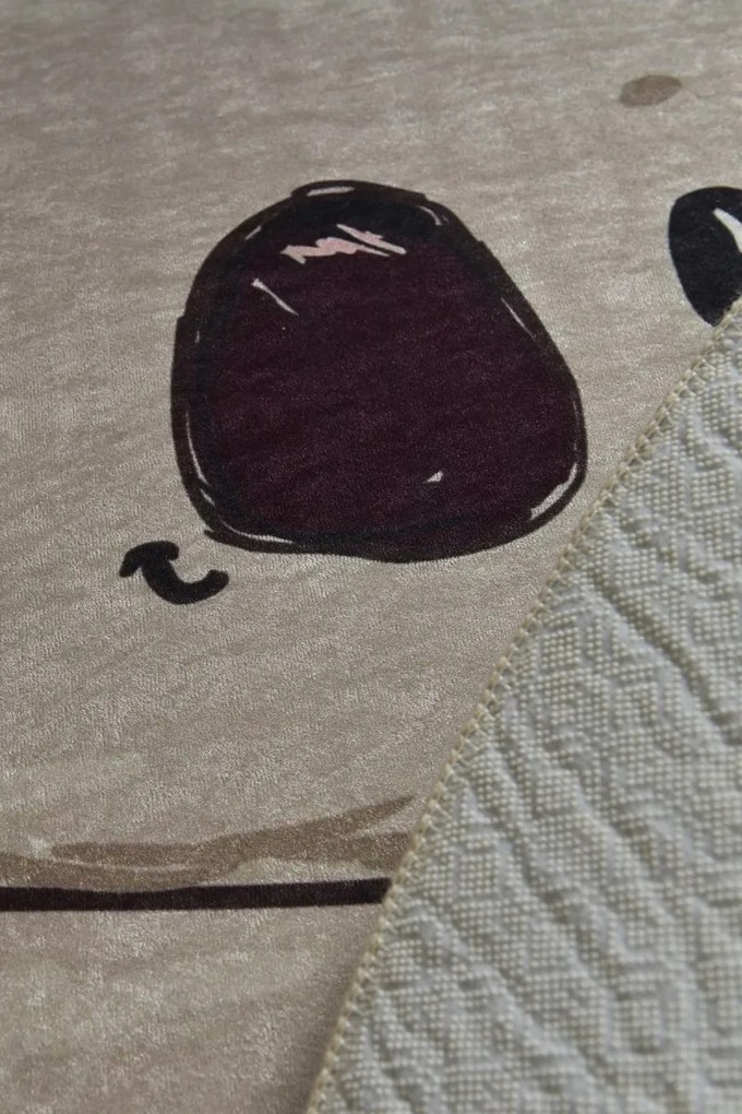 Kúpeľňový koberec Koala 80 x 100 cm
