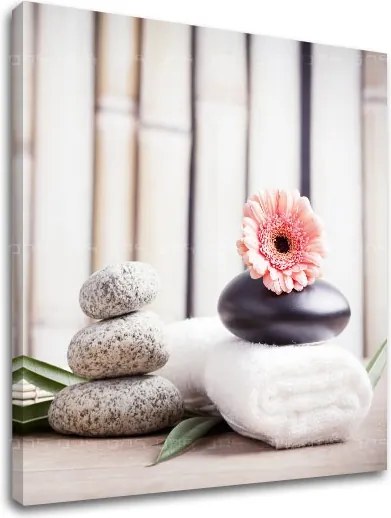 Obraz na plátne FENG SHUI_053-12