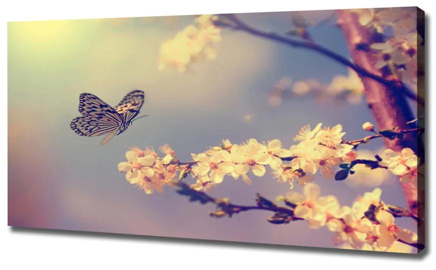 Moderné obraz canvas na ráme Kvet visty a motýľ pl-oc-120x60-f-72331211