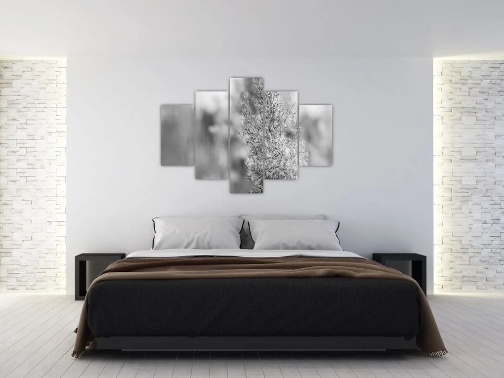 Obraz - Boho pampas grass (150x105 cm)