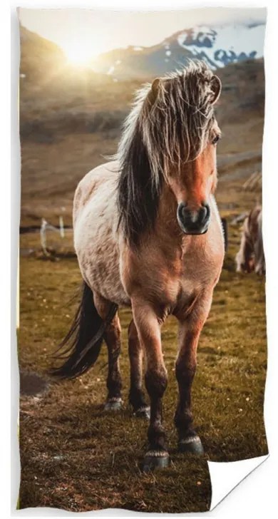 Carbotex Detská osuška 70 × 140 cm ‒ Kôň v horách