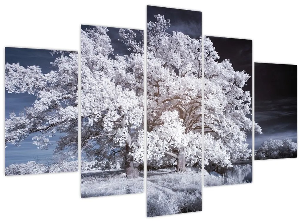 Obraz - Snehobiely strom (150x105 cm)