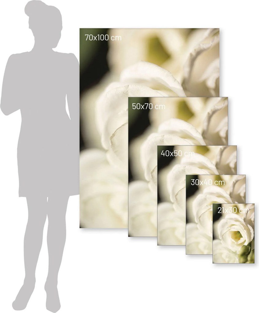 Plagát Flower Wall