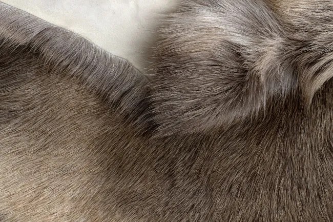 Koberec RENIFER POK012 sivý / béžový