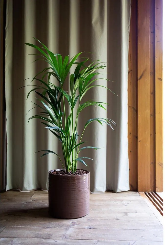 Keramický ručne vyrobený obal na kvetináč ø 18 cm Fortuna – Artevasi