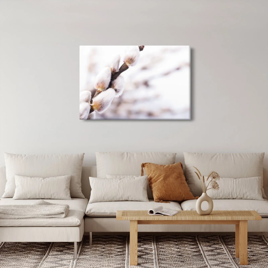 Obraz - Vetva mačičky (90x60 cm)