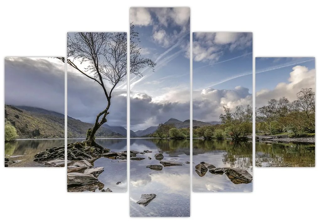 Obraz rieky za stromom (150x105 cm)