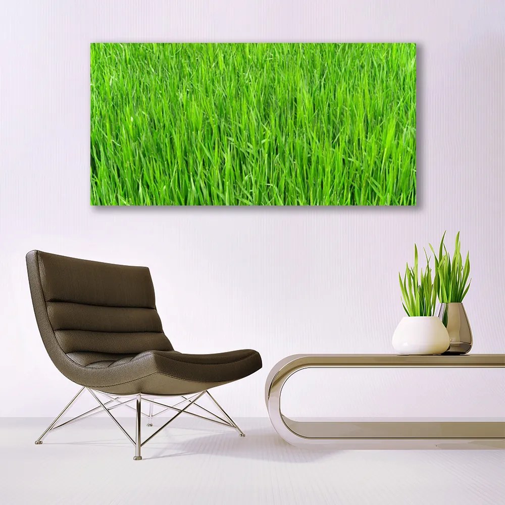 Obraz plexi Zelená tráva príroda trávnik 120x60 cm
