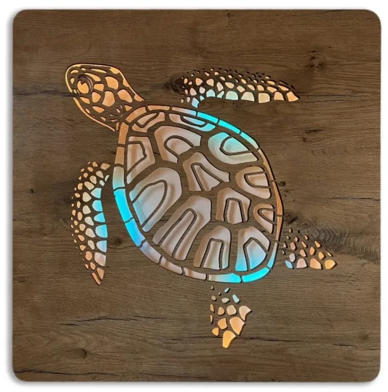 Led obraz Korytnačka RGBW na batériu