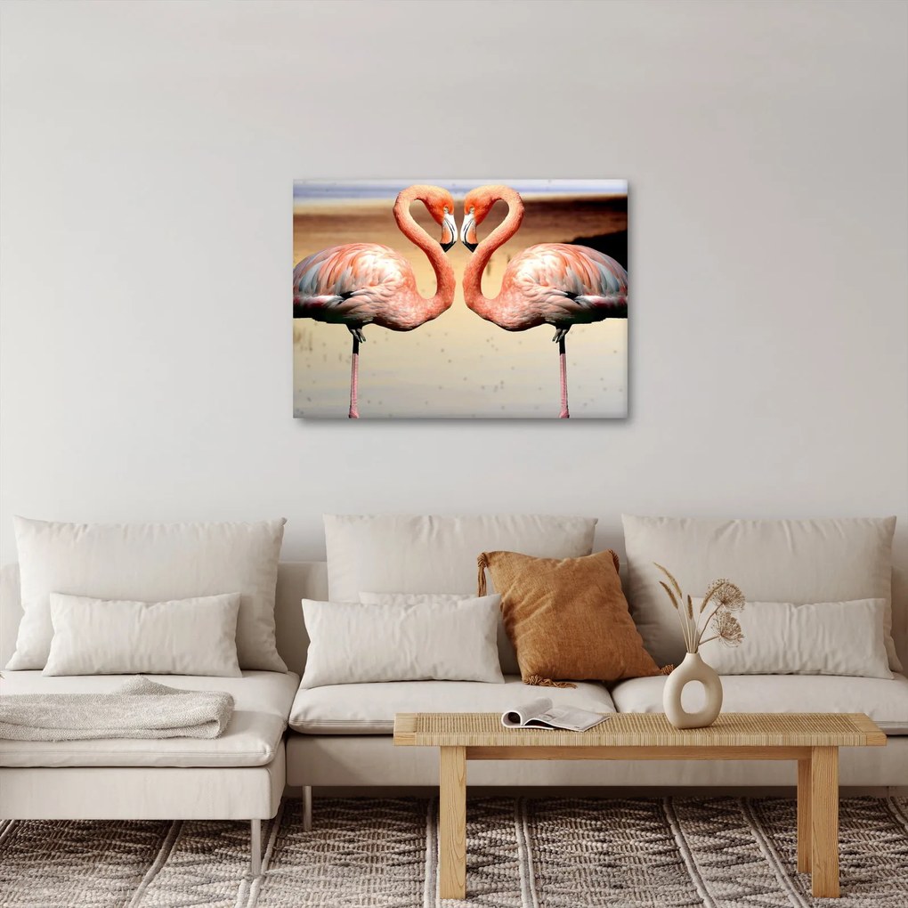 Obraz - dva plameniaky (70x50 cm)