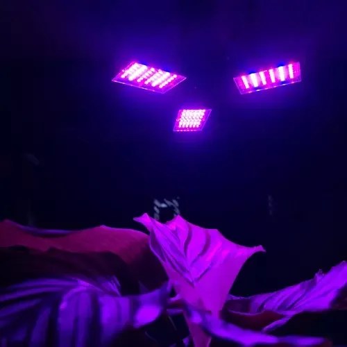 LED lampa na rast rastlín Gardlov 00026309 so 108 diódami