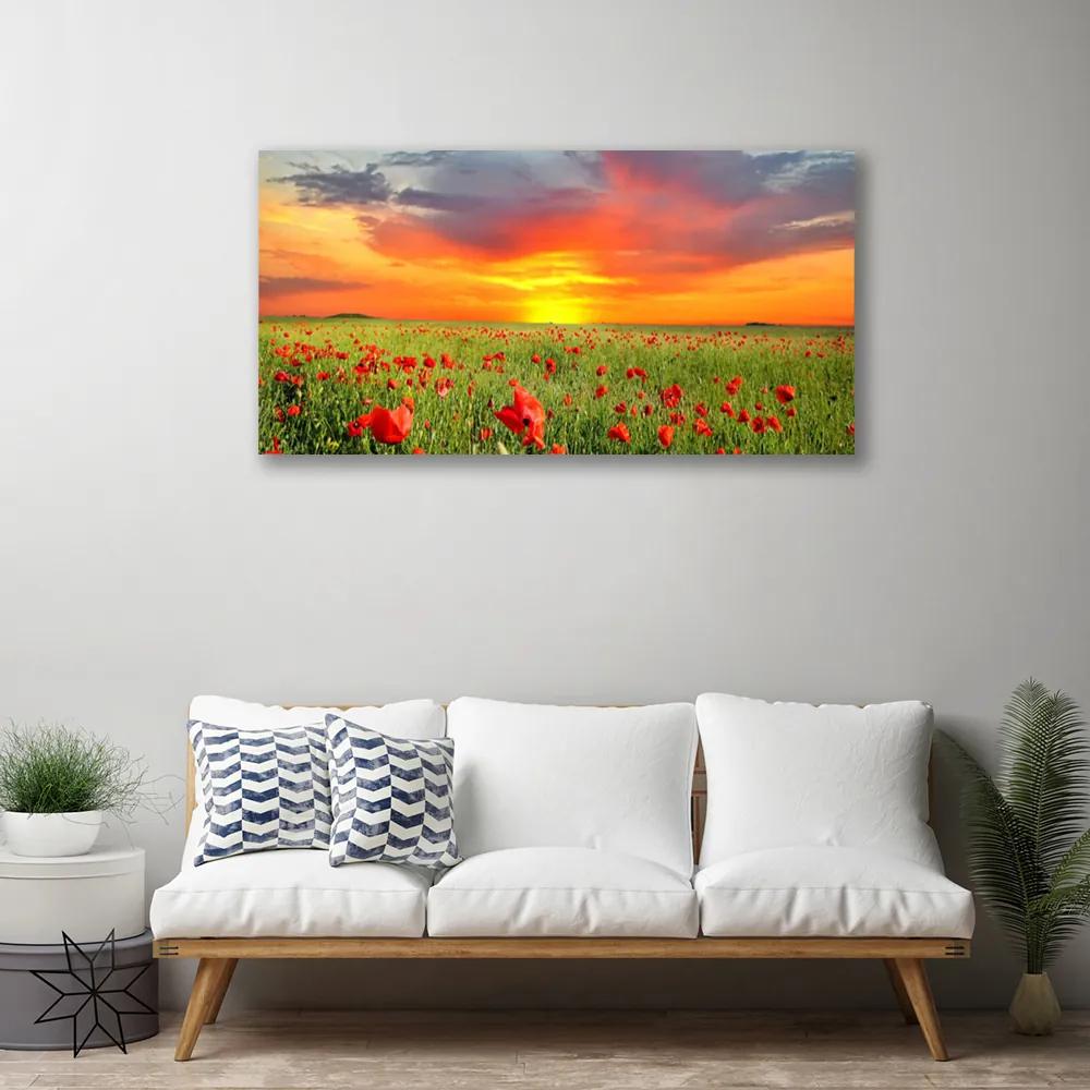 Obraz Canvas Maky slnko rastlina príroda 120x60 cm