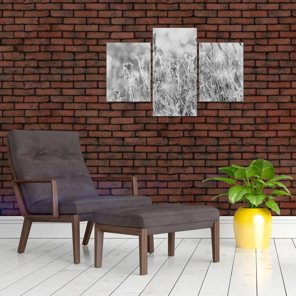 Obraz - Chladná zima (90x60 cm)