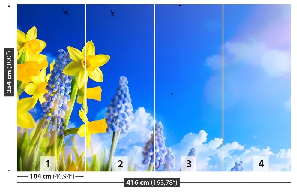 Fototapeta Vliesová Modrý narcis 250x104 cm